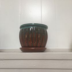 Plant Pot