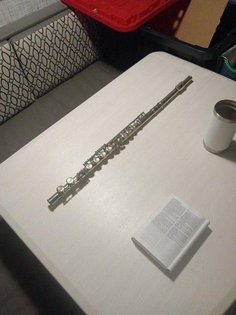 flute (vinci)