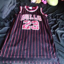 Raavin Basketball Jersey Bulls 23 Size Small 