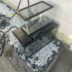 Fish Tanks