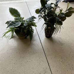 Artificial Plants With Ceramic Vases.