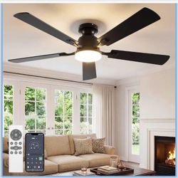 Modern 2 Color Blade Ceiling Fan