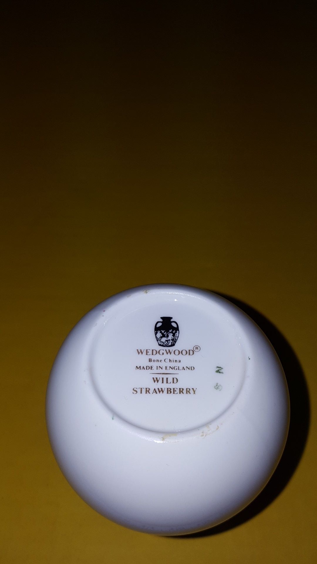 WEDGEWOOD BONE CHINA