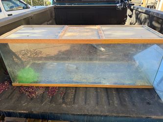 Reptile tank /fish tank