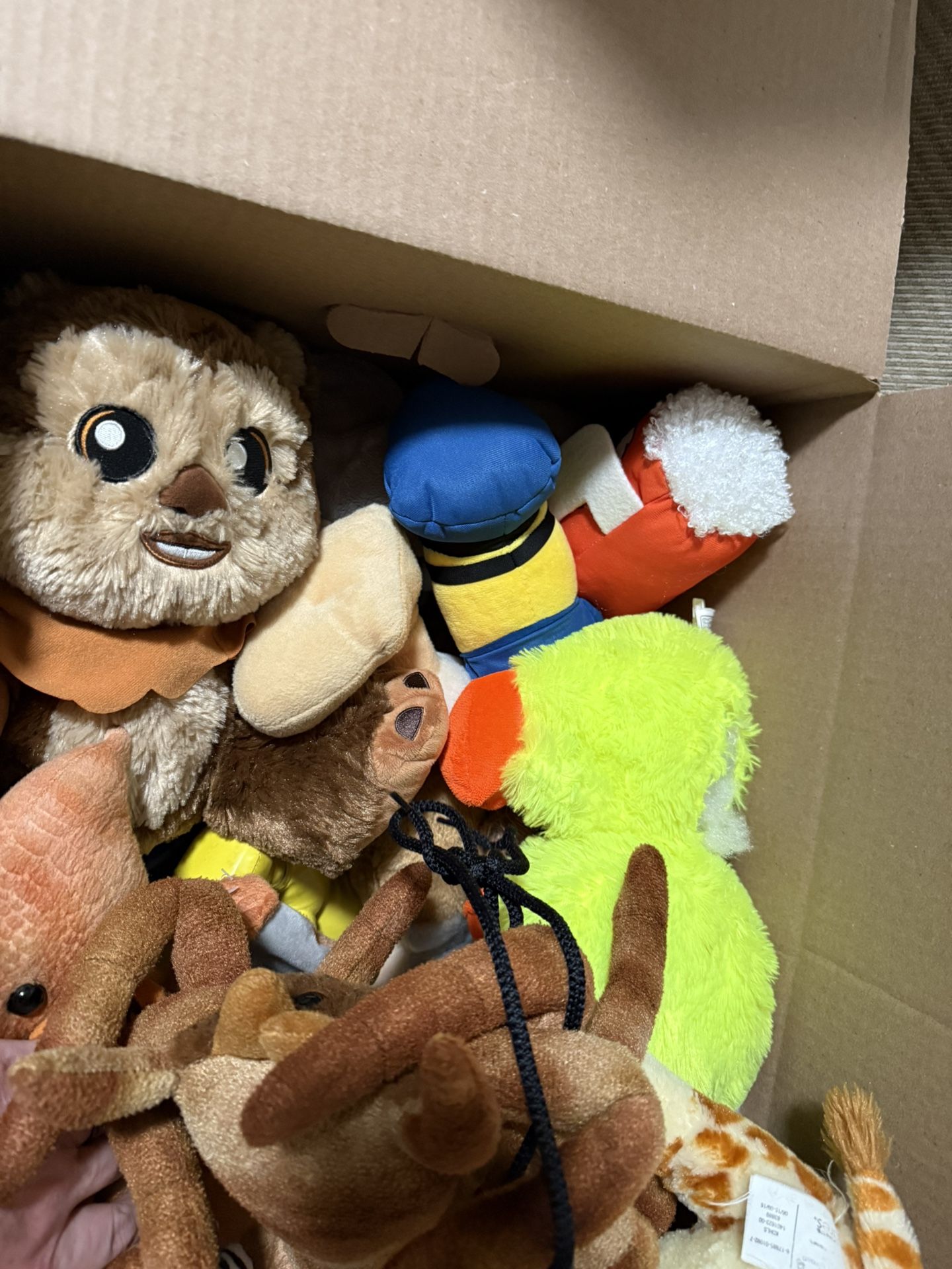 Assorted stuffed animals
