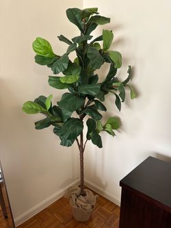 IKEA Faux Ficus Tree