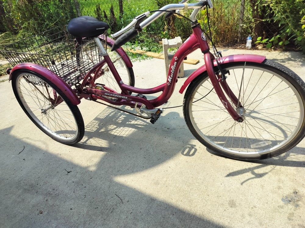 Schwinn 3 Wheeled Bike Classic