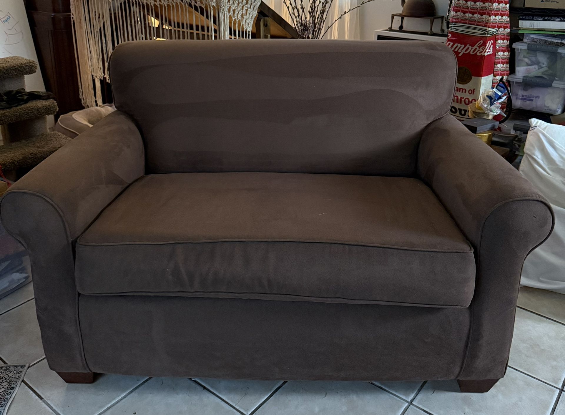 Pull Out Bed, Love Seat Excellent Shape
