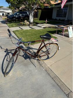 Raleigh International Bike