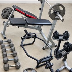 Complete Home Gym – Squat Rack, Bench, Olympic Bar & Cast Iron Weights – $500