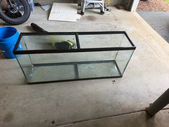 55 gallon tank