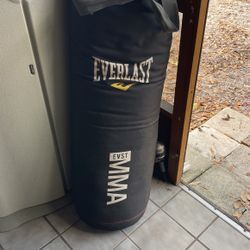 Punching Bag