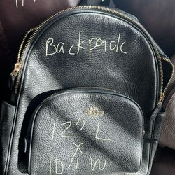 Black Pebbled Backpack from Famous Maker