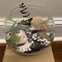terrarium Glass Globe Sand Gravel Fake plants Sponge Shelf Counter Decor Shells Air kids project fun