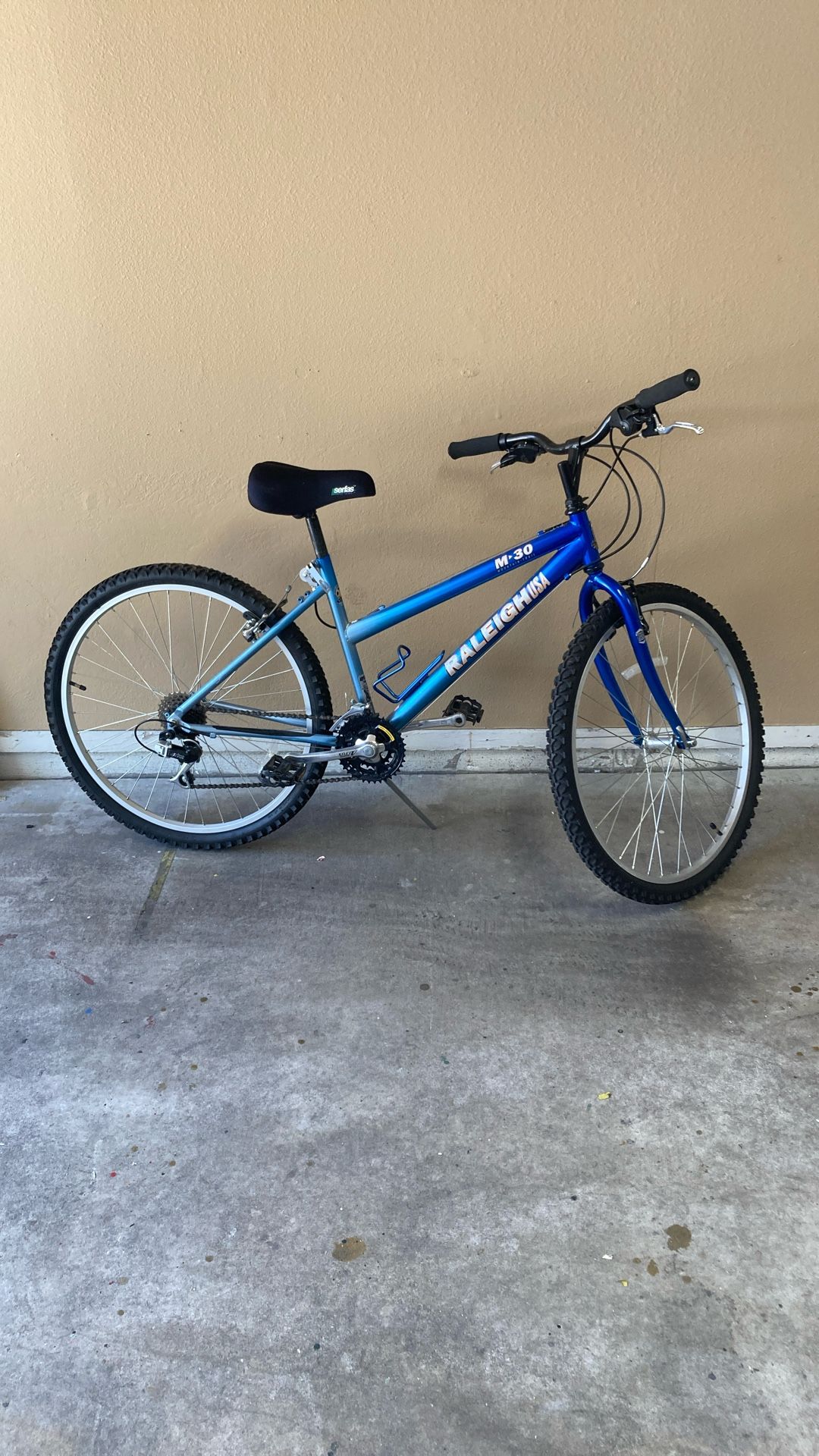 Mountain Bike—Raleigh (26”)