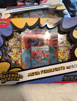 Ascended Heroes EX Boxes