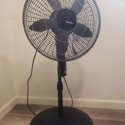 Tall Fan