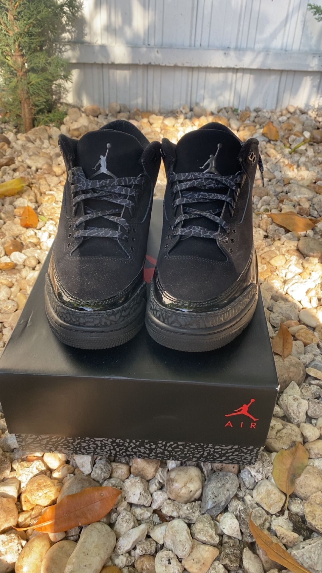Jordan 3 BLACK CATS