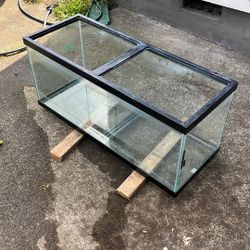 75 Gallon Aquarium 