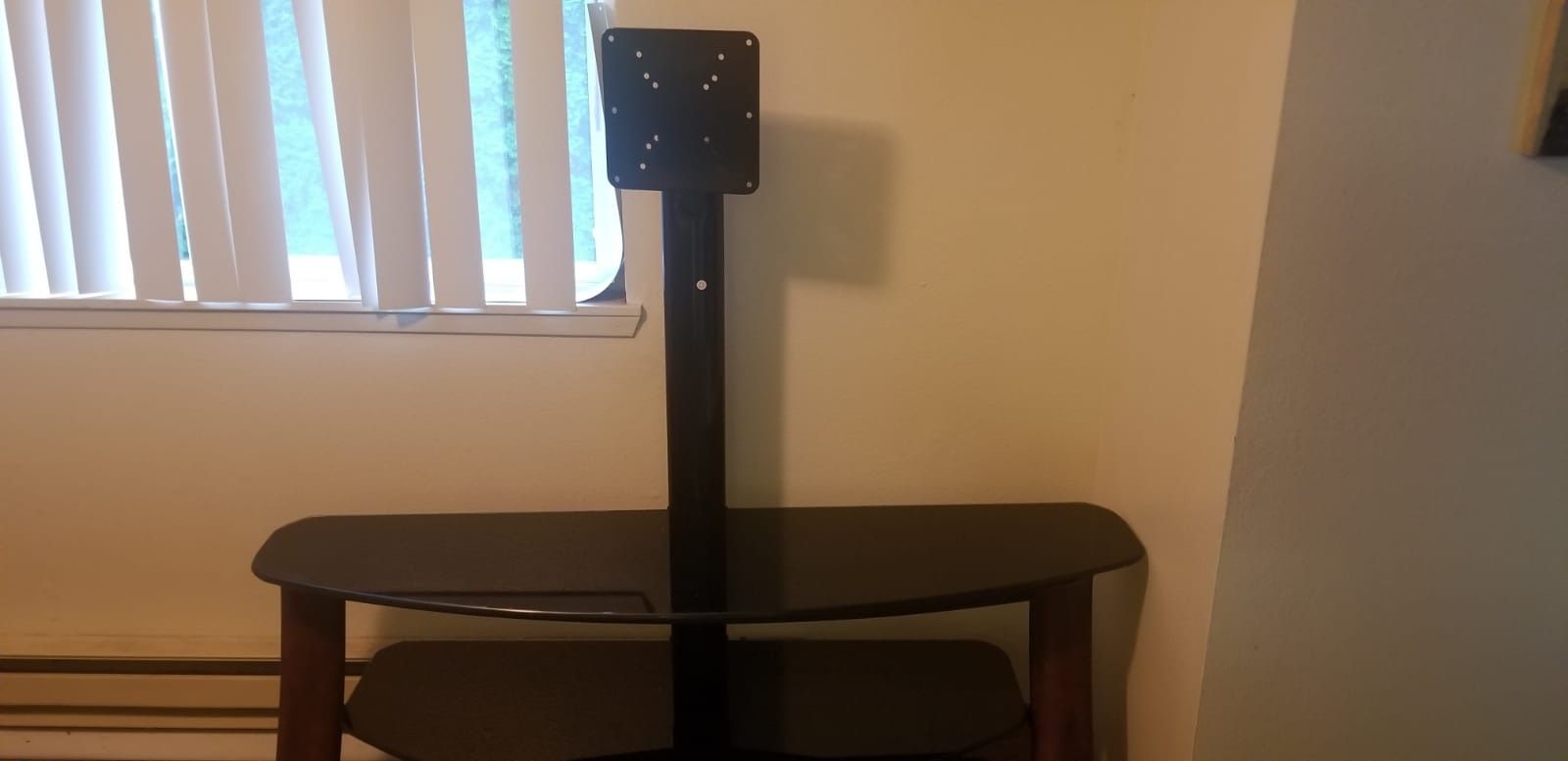 Entertainment Center Stand Holds Flat Screen TV