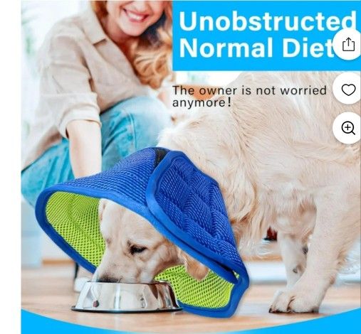 Soft Dog Cone