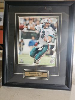 ⭐️Dan Marino  Photo Matted & Framed Action Shot Photo NFL 8X10 