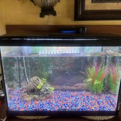 Fish Tank 20gallons 
