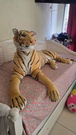 Tiger big