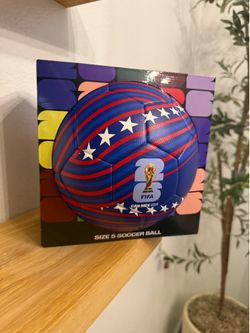 World Cup soccer ball size 5