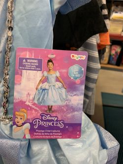 Disney Princess Costume
