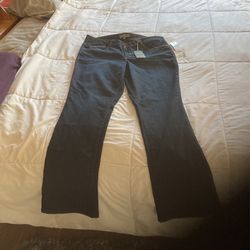 Wit And Wisdom Female Designer Jeans