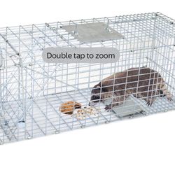  32" L Humane Live Animal Trap Cage for Raccoons, Cats, Opossums, Stray Cat, Squirrel