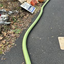 Swamp Hose