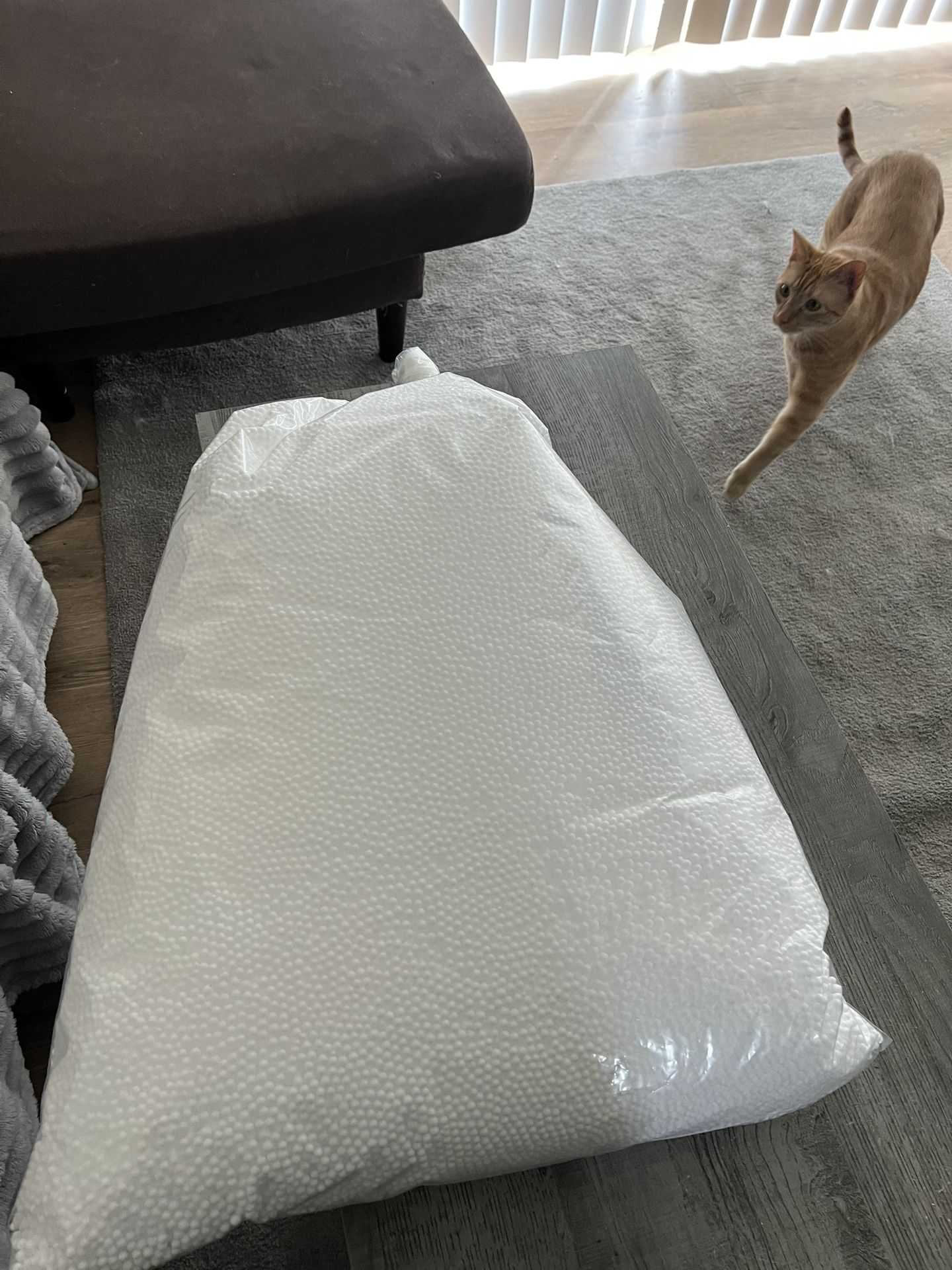 Bean Bag Filling