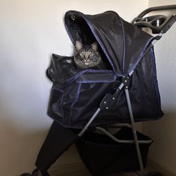 Cat Stroller 