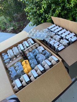 Empty chicken egg containers $1 each