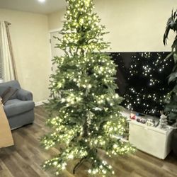 7.5 FT JACKSON NOBILE FIR PRE LIT CHRISTMAS TREE 