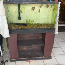 Fish Tank