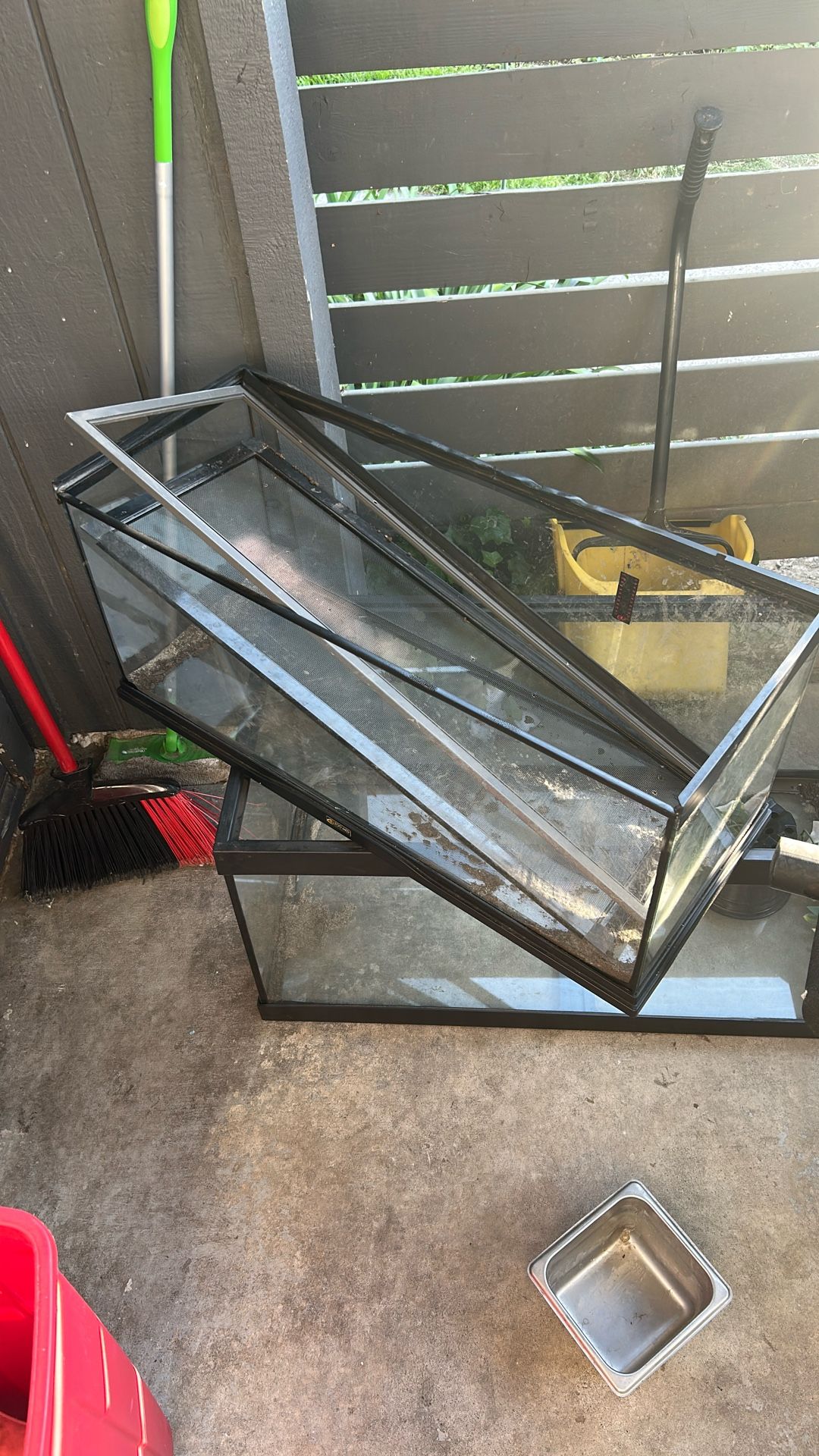 Fish/ Lizard Tank