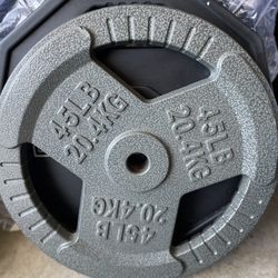 45lb Weight Plate