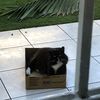 Widow Treasures