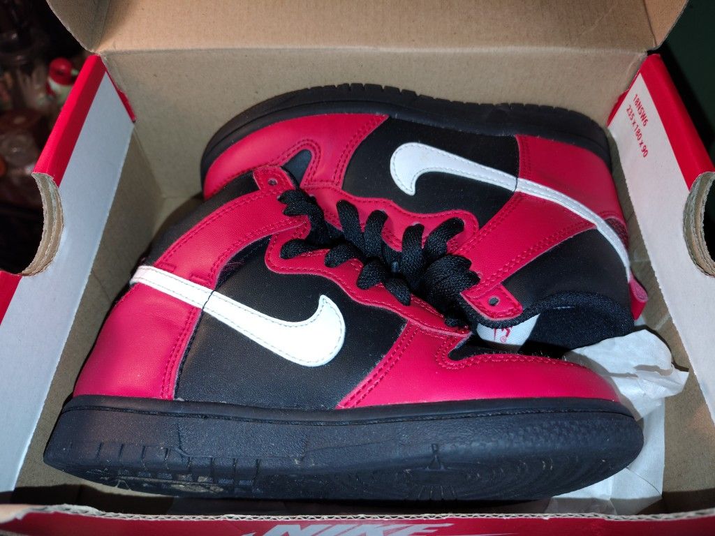 Nike Dunk Highs $25