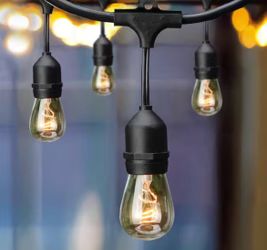 12-Light 24 ft. Indoor/Outdoor Plug-In Incandescent Edison Bulb String Light
