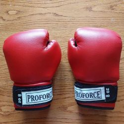 Proforce Boxing Gloves 