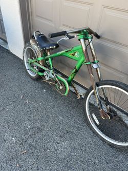 Bike Sting Ray