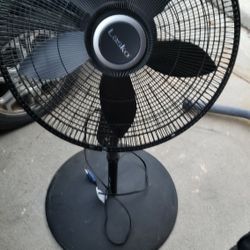 Fan