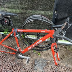 Classic canon. Dale Road Bikes 