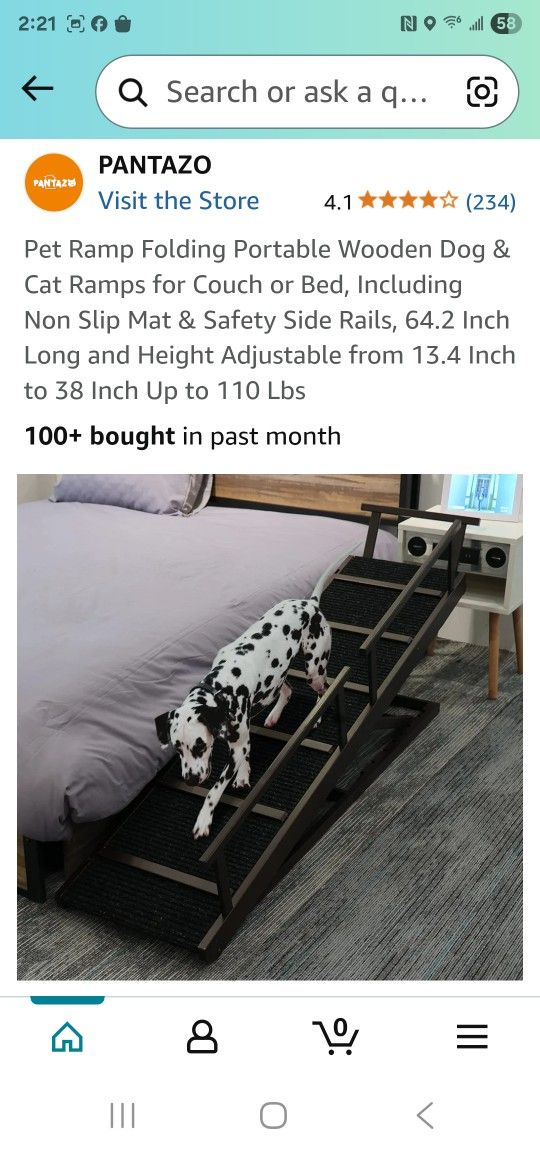 Pet Ramp
