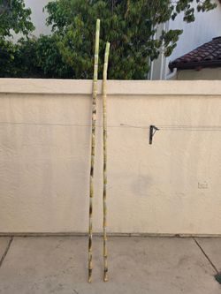Fresh Organic Cut Sugar Cane Stalks – 2 Pieces