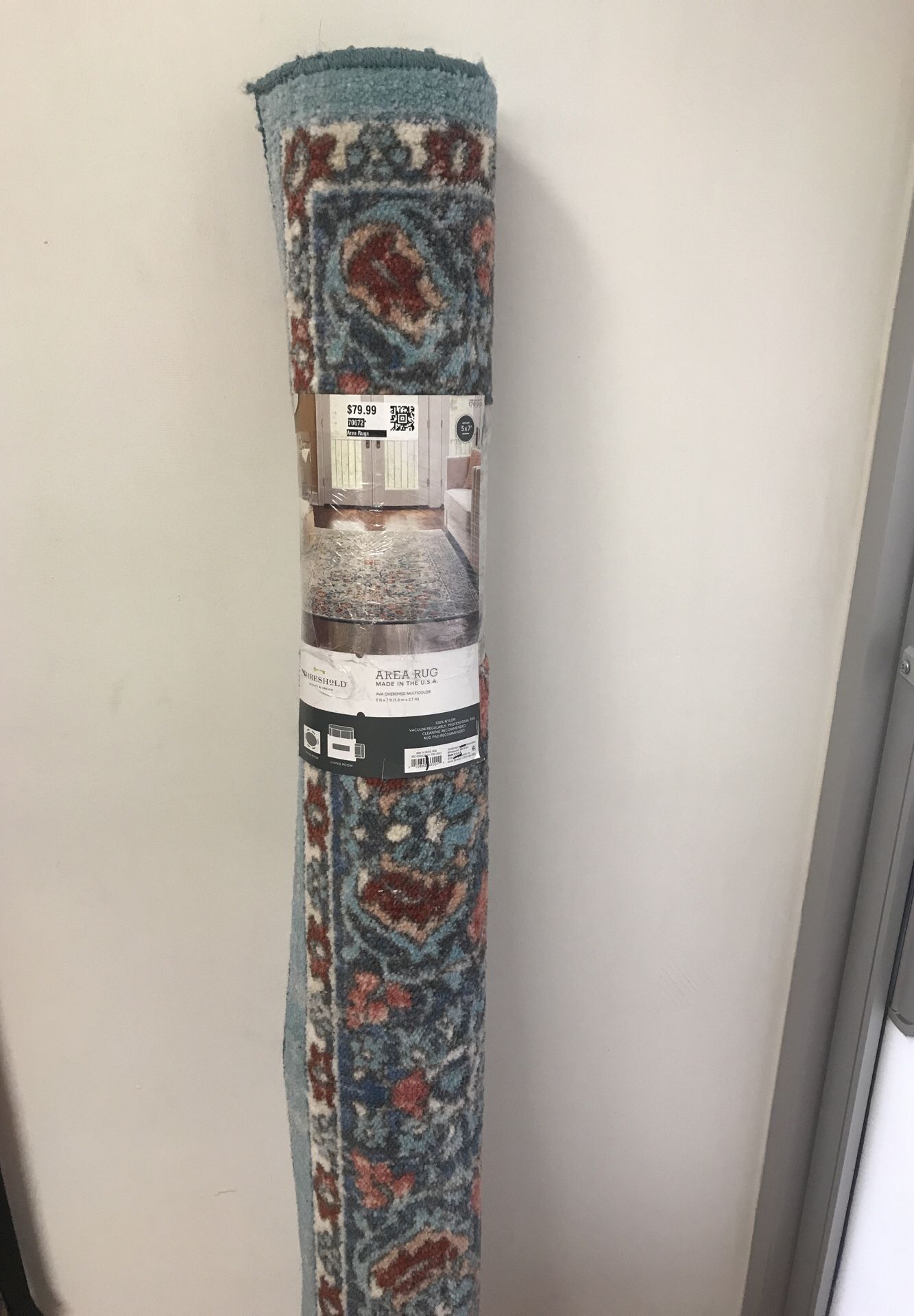 20042 Area Thresholds 5x7 Rug